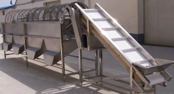 automatic fruit sorting machine