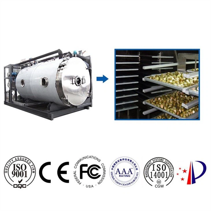 freeze dryer for food processing